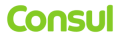 consul-png-e1685469532812-300x94